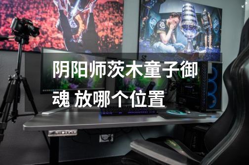 阴阳师茨木童子御魂 放哪个位置-第1张-游戏信息-龙启网