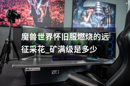 魔兽世界怀旧服燃烧的远征采花_矿满级是多少-第1张-游戏信息-龙启网