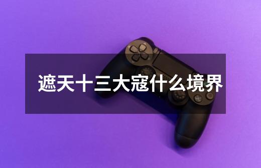 遮天十三大寇什么境界-第1张-游戏信息-龙启网