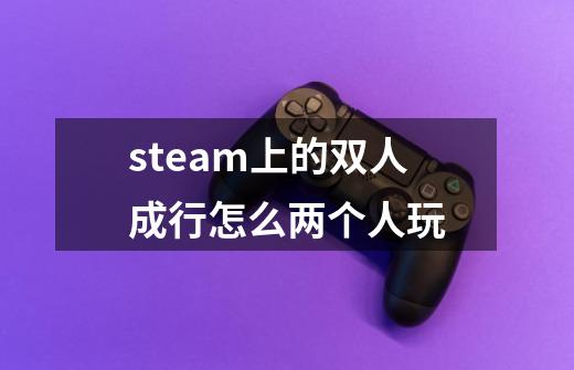 steam上的双人成行怎么两个人玩-第1张-游戏信息-龙启网
