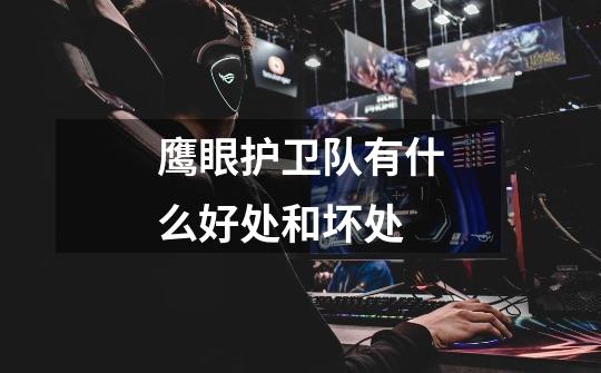 鹰眼护卫队有什么好处和坏处-第1张-游戏信息-龙启网