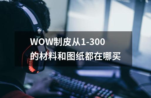 WOW制皮从1-300的材料和图纸都在哪买-第1张-游戏信息-龙启网