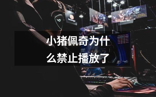 小猪佩奇为什么禁止播放了-第1张-游戏信息-龙启网