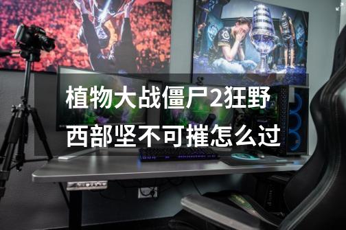 植物大战僵尸2狂野西部坚不可摧怎么过-第1张-游戏信息-龙启网