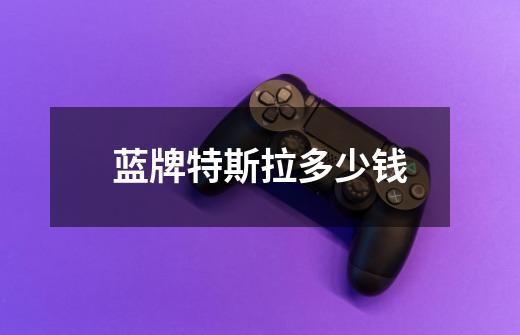 蓝牌特斯拉多少钱-第1张-游戏信息-龙启网