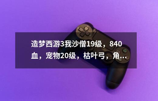 造梦西游3我沙僧19级,840血,宠物20级,枯叶弓,角木铲,枯叶灵4级,宣花葫芦3级。打南天王殿怎么打-第1张-游戏信息-龙启网