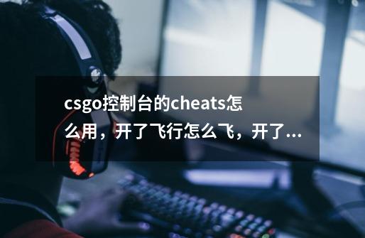 csgo控制台的cheats怎么用,开了飞行怎么飞,开了个god,居然被捅死,什么god…-第1张-游戏信息-龙启网