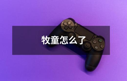 牧童怎么了-第1张-游戏信息-龙启网