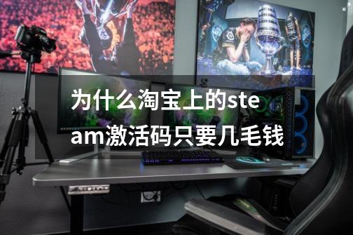 为什么淘宝上的steam激活码只要几毛钱-第1张-游戏信息-龙启网