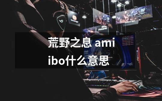 荒野之息 amiibo什么意思-第1张-游戏信息-龙启网