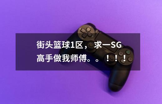 街头篮球1区, 求一SG高手做我师傅。。 !!!-第1张-游戏信息-龙启网
