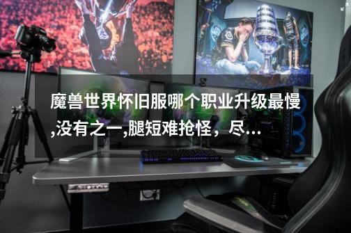 魔兽世界怀旧服哪个职业升级最慢,没有之一,腿短难抢怪,尽量不要玩-第1张-游戏信息-龙启网