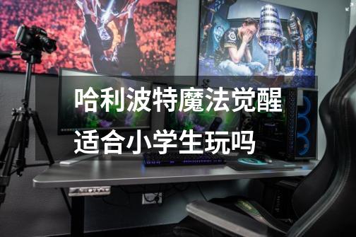 哈利波特魔法觉醒适合小学生玩吗-第1张-游戏信息-龙启网