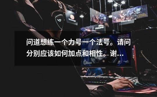 问道想练一个力号一个法号。请问分别应该如何加点和相性。谢谢-第1张-游戏信息-龙启网