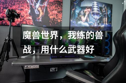 魔兽世界,我练的兽战,用什么武器好-第1张-游戏信息-龙启网