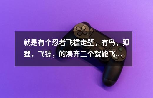 就是有个忍者飞檐走壁,有鸟,狐狸,飞镖,的凑齐三个就能飞,求游戏名称-第1张-游戏信息-龙启网