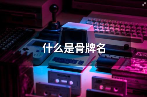 什么是骨牌名-第1张-游戏信息-龙启网