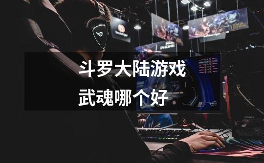 斗罗大陆游戏武魂哪个好-第1张-游戏信息-龙启网