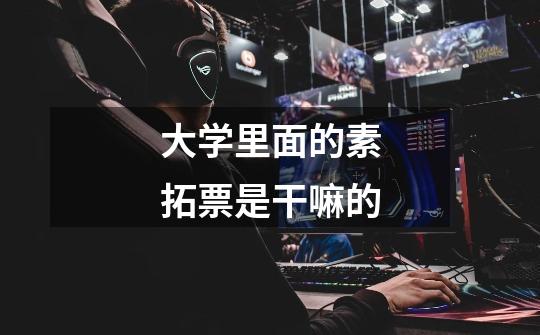 大学里面的素拓票是干嘛的-第1张-游戏信息-龙启网