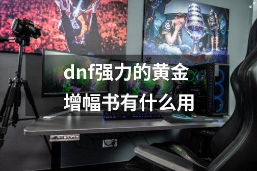 dnf强力的黄金增幅书有什么用-第1张-游戏信息-龙启网