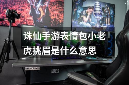 诛仙手游表情包小老虎挑眉是什么意思-第1张-游戏信息-龙启网