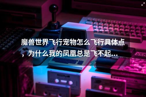 魔兽世界飞行宠物怎么飞行具体点，为什么我的凤凰总是飞不起来-第1张-游戏信息-龙启网