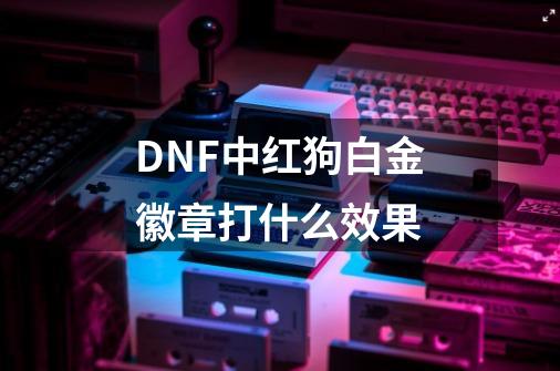 DNF中红狗白金徽章打什么效果-第1张-游戏信息-龙启网