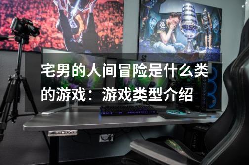 宅男的人间冒险是什么类的游戏:游戏类型介绍-第1张-游戏信息-龙启网