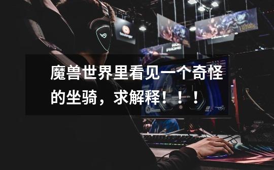 魔兽世界里看见一个奇怪的坐骑，求解释！！！-第1张-游戏信息-龙启网