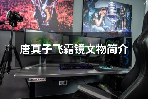 唐真子飞霜镜文物简介-第1张-游戏信息-龙启网