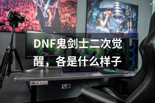 DNF鬼剑士二次觉醒,各是什么样子-第1张-游戏信息-龙启网
