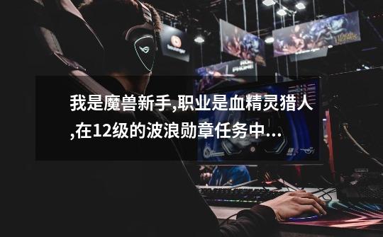 我是魔兽新手,职业是血精灵猎人,在12级的波浪勋章任务中怎么也完不成，是不是要去水里打啊，我怎以进不去-第1张-游戏信息-龙启网