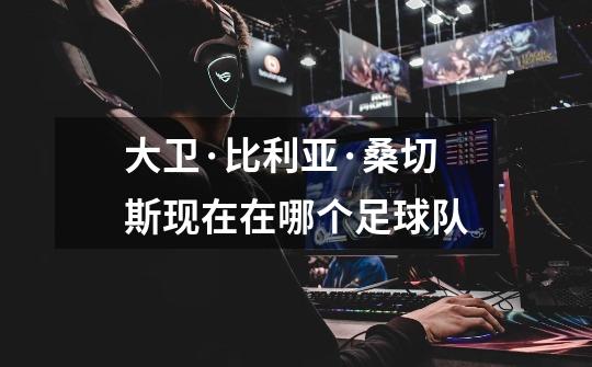 大卫·比利亚·桑切斯现在在哪个足球队-第1张-游戏信息-龙启网