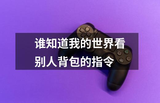 谁知道我的世界看别人背包的指令-第1张-游戏信息-龙启网