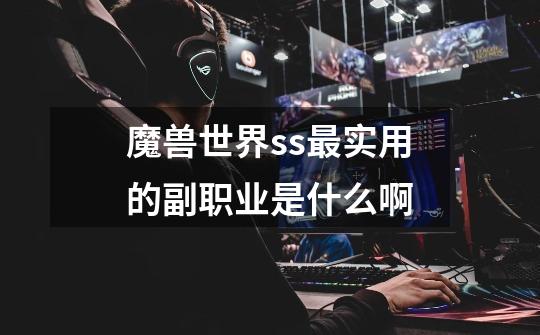 魔兽世界ss最实用的副职业是什么啊-第1张-游戏信息-龙启网