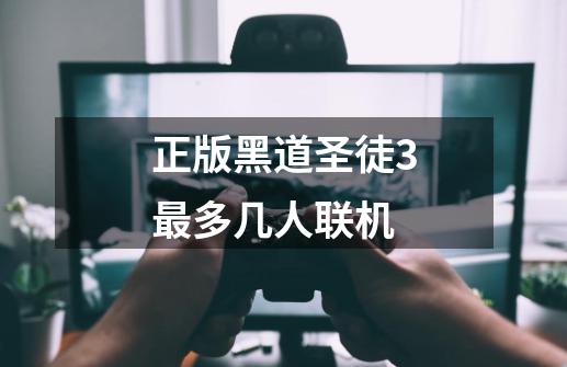 正版黑道圣徒3最多几人联机-第1张-游戏信息-龙启网