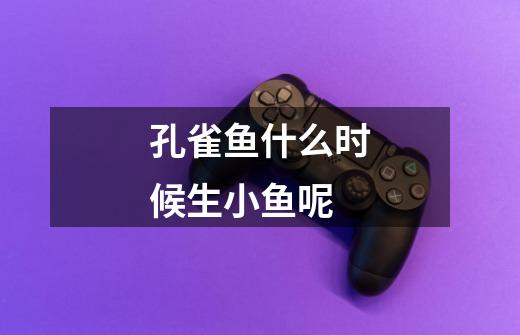 孔雀鱼什么时候生小鱼呢-第1张-游戏信息-龙启网