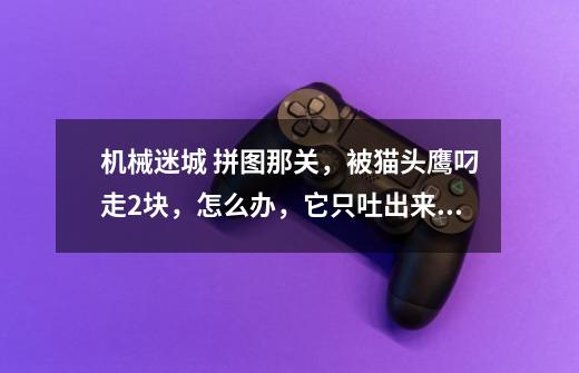 机械迷城 拼图那关,被猫头鹰叼走2块,怎么办,它只吐出来一个,怎么办-第1张-游戏信息-龙启网
