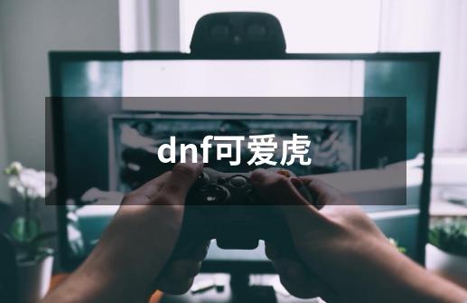 dnf可爱虎-第1张-游戏信息-龙启网