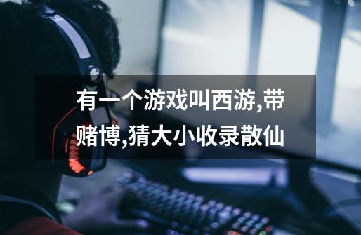 有一个游戏叫西游,带赌博,猜大小.收录散仙-第1张-游戏信息-龙启网