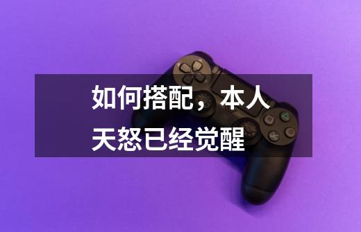 如何搭配,本人天怒已经觉醒-第1张-游戏信息-龙启网