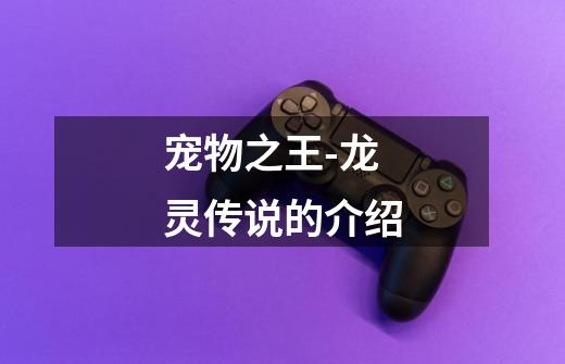 宠物之王-龙灵传说的介绍-第1张-游戏信息-龙启网
