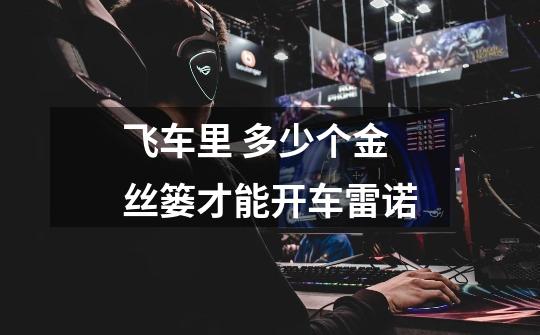 飞车里 多少个金丝篓才能开车雷诺-第1张-游戏信息-龙启网