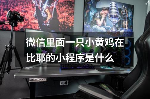 微信里面一只小黄鸡在比耶的小程序是什么-第1张-游戏信息-龙启网