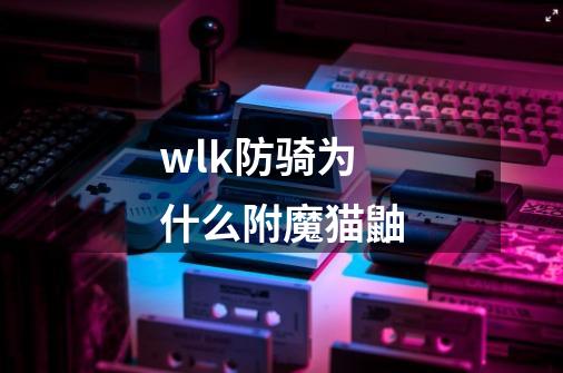 wlk防骑为什么附魔猫鼬-第1张-游戏信息-龙启网