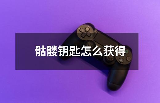 骷髅钥匙怎么获得-第1张-游戏信息-龙启网