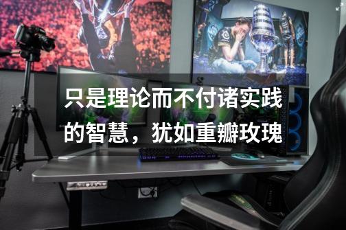 只是理论而不付诸实践的智慧,犹如重瓣玫瑰-第1张-游戏信息-龙启网