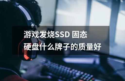 游戏发烧SSD 固态硬盘什么牌子的质量好-第1张-游戏信息-龙启网