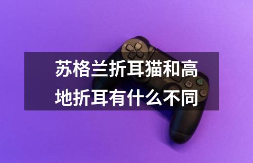 苏格兰折耳猫和高地折耳有什么不同-第1张-游戏信息-龙启网