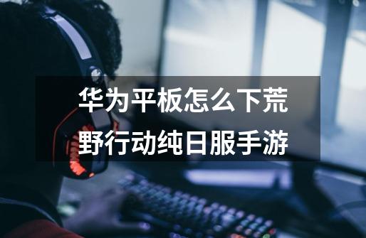 华为平板怎么下荒野行动纯日服手游-第1张-游戏信息-龙启网